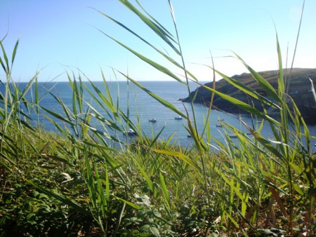 Vers la pointe du Raz